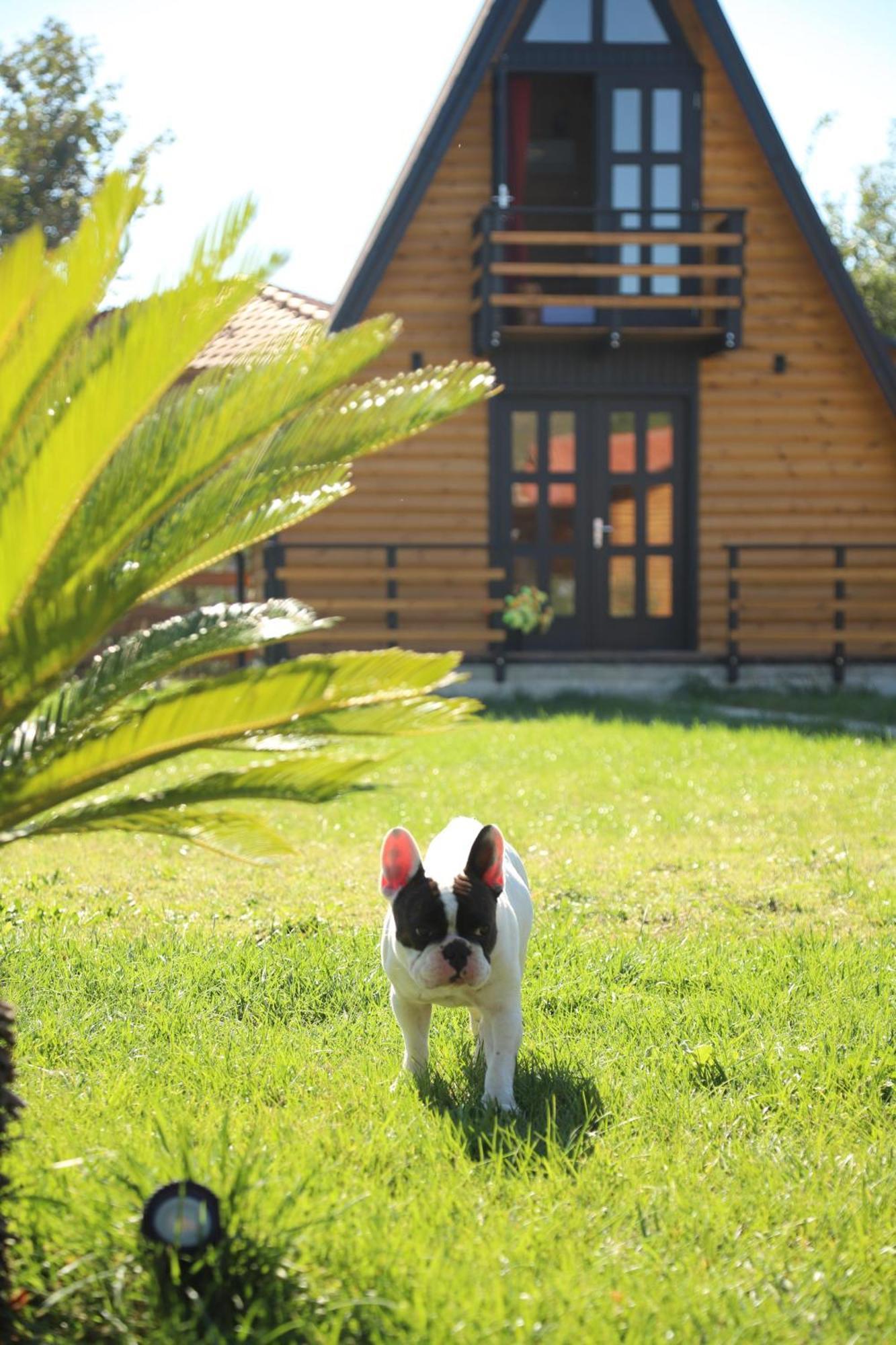 Memaliaj Sancho Farm Albaniaヴィラ エクステリア 写真