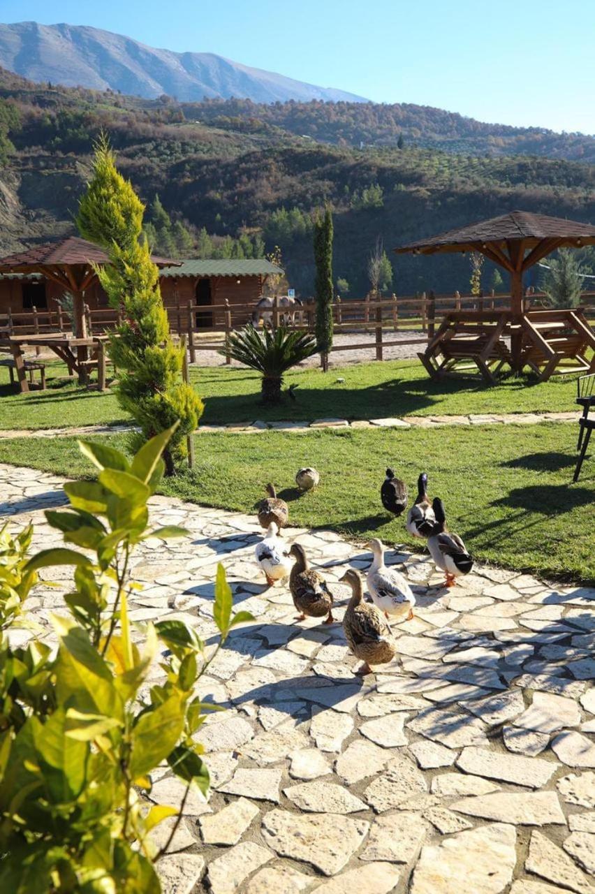 Memaliaj Sancho Farm Albaniaヴィラ エクステリア 写真